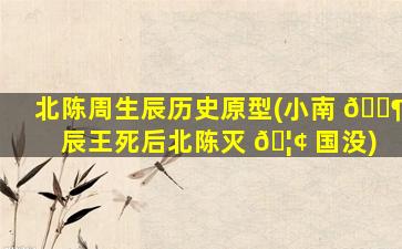 北陈周生辰历史原型(小南 🐶 辰王死后北陈灭 🦢 国没)